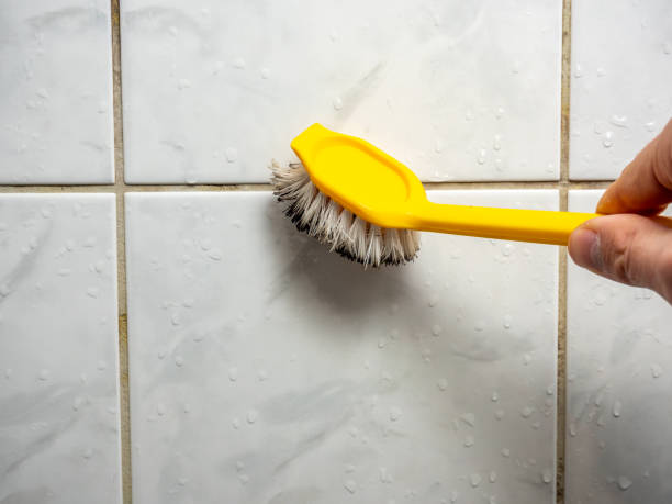 Best Mold Testing  in Youngstown, OH
