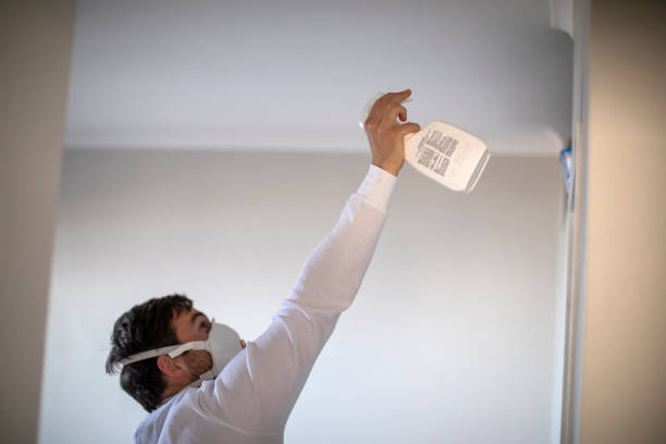 Best Mold Damage Repair  in Youngstown, OH